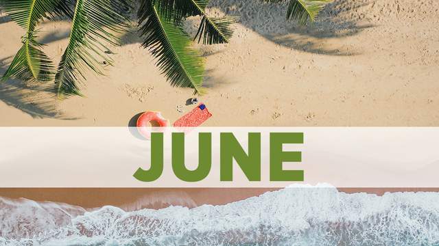 No description available