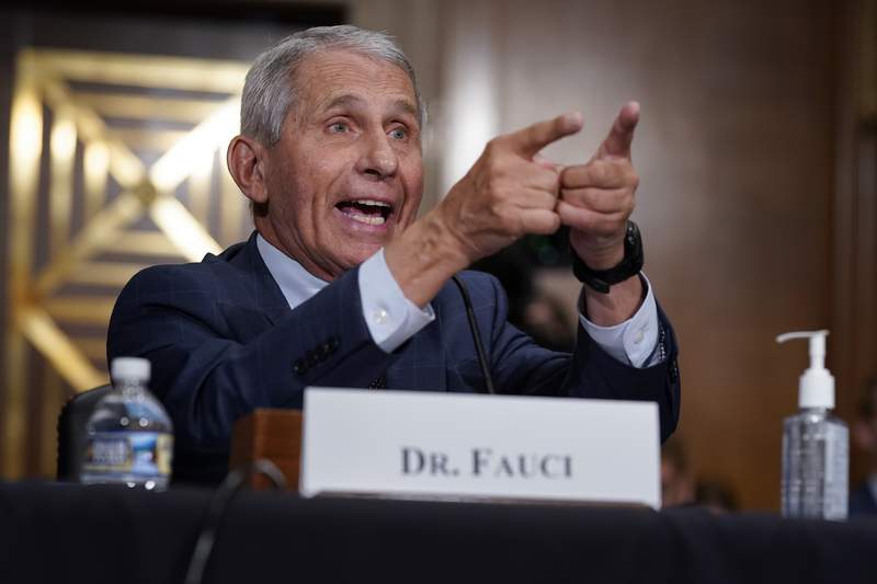 Anthony Fauci, GOP’s Rand Paul clash on COVID-19 origins, trade charges of lying