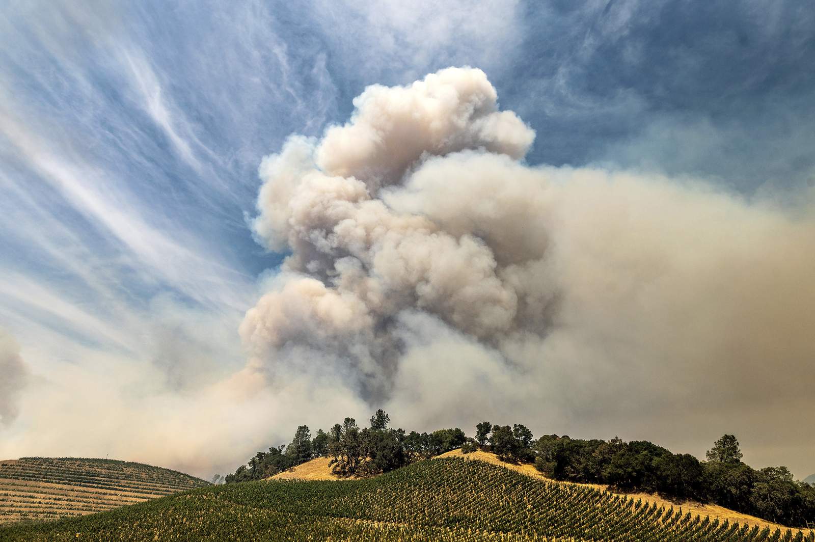 Wildfires again threaten business in California wine country