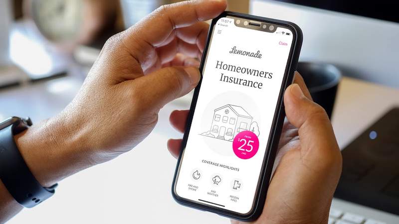 Insurance for your home, your pet, your life - Lemonade provides it all quickly and easily