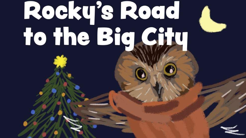 Rocky, the adorable owl found in NYC Rockefeller tree, is featured in new children’s book