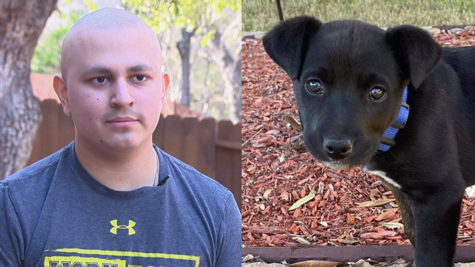 San Antonio teen fighting cancer receives four-legged friend to help with recovery