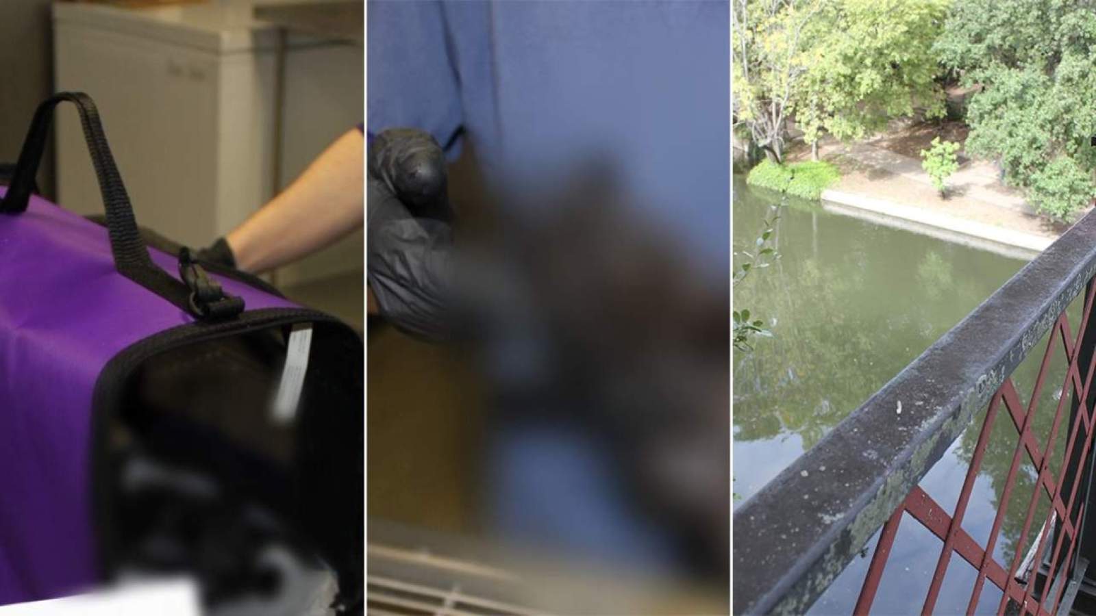 ACS investigates after kitten in crate thrown off Southtown bridge into San Antonio River, drowns