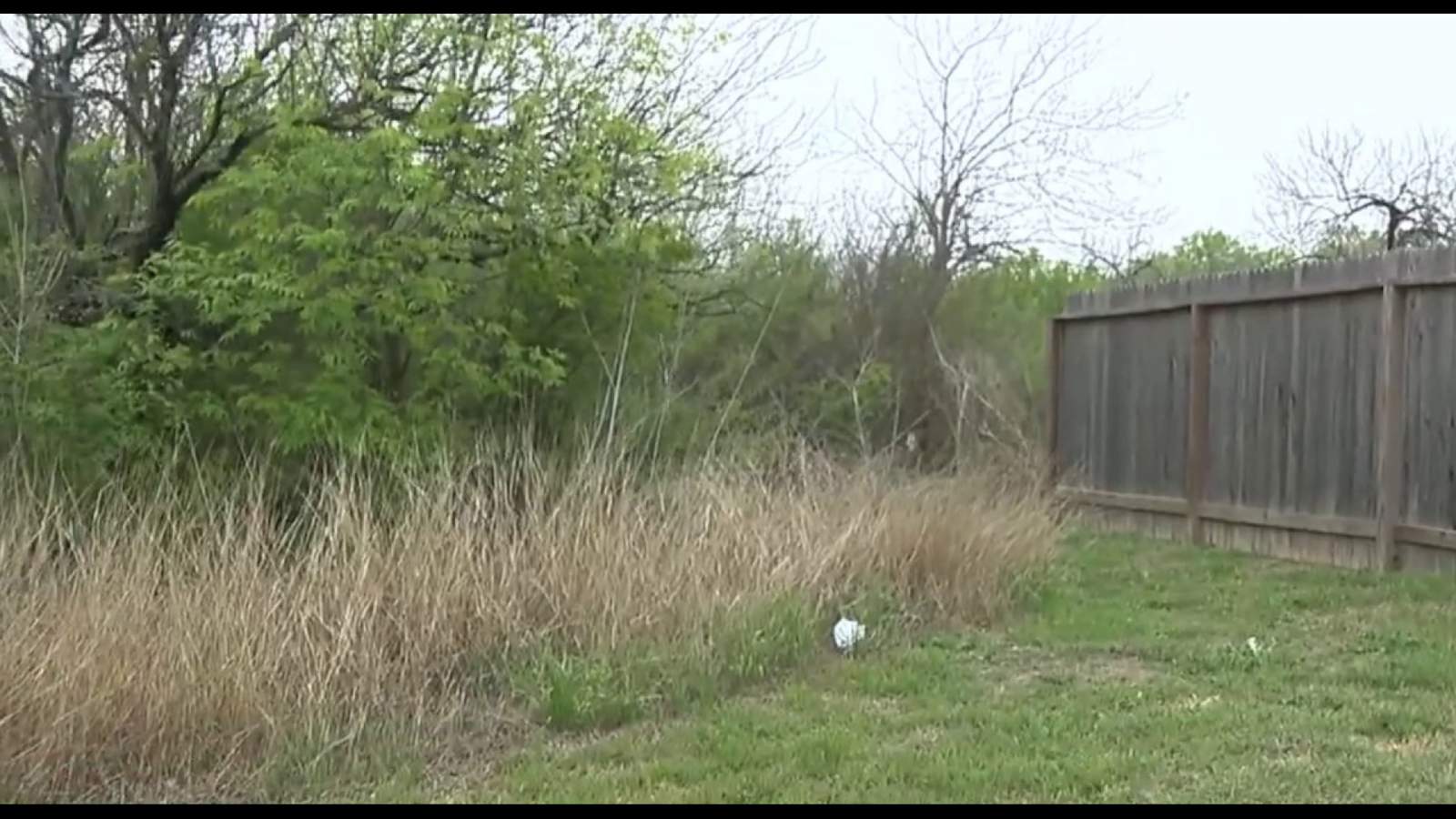 Brush removal in Converse underway to help protect neighborhood